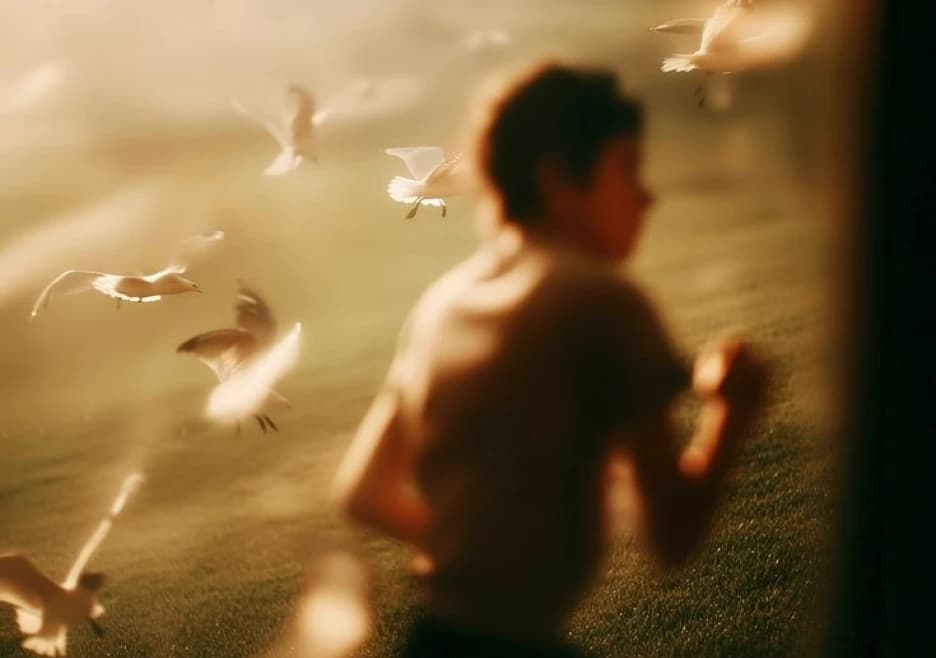 Gestão profissional e execução eficiente